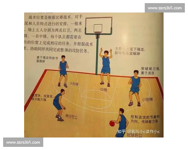 以后卫为核心的篮球战术演变与发展及其在球队体系中的关键作用研究
